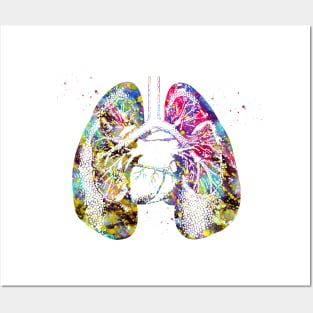 Lungs and Heart Posters and Art